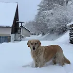 Au Sole * בסה-סור-לה-רופט