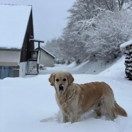 Au Sole * バッス・シュル・ル・リュプト