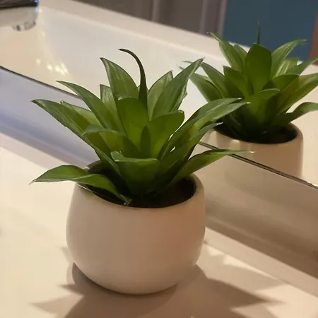 アパート Au Sole