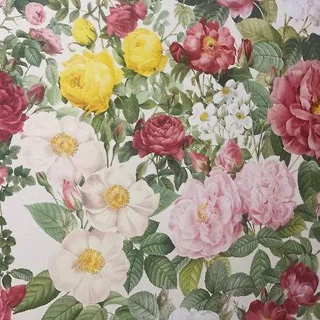 Au Sole * バッス・シュル・ル・リュプト