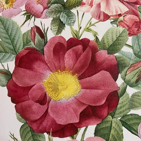 Au Sole バッス・シュル・ル・リュプト