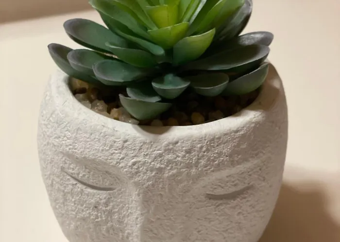 Au Sole Apartmán Basse-sur-le-Rupt