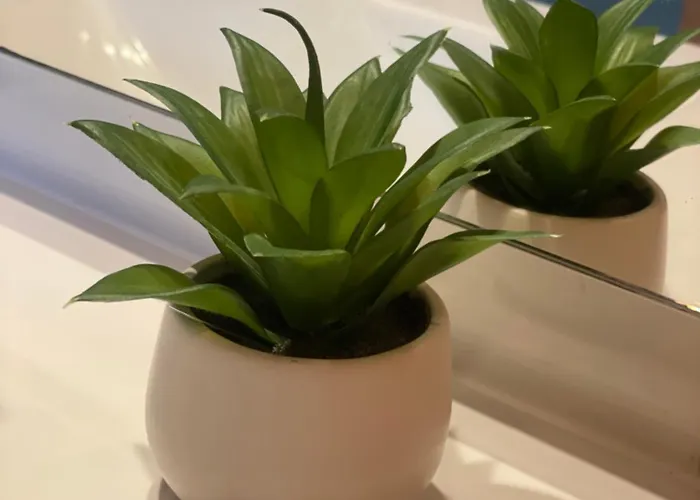 Апартаменты Au Sole