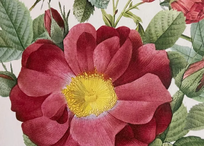 Au Sole Basse-sur-le-Rupt